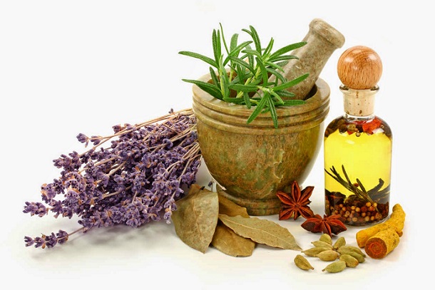 vinos medicinales