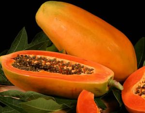 papaya