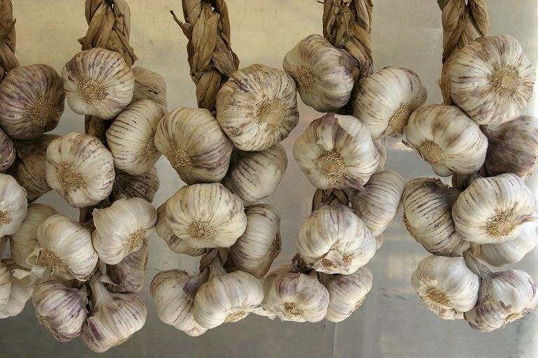 ajo antiagregante plaquetaria anticoagulante