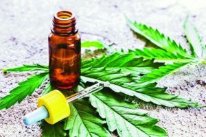 cannabis-medicinal